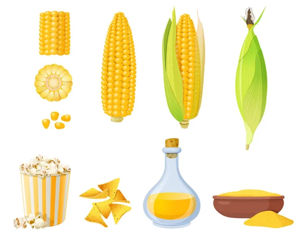 Ear Corn Leaves Corn Grits Polenta Corn Oil Popcorn Cartoon — Stock Vector