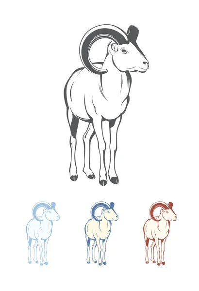 Ovce tlustorohá na bílém pozadí — Stockový vektor