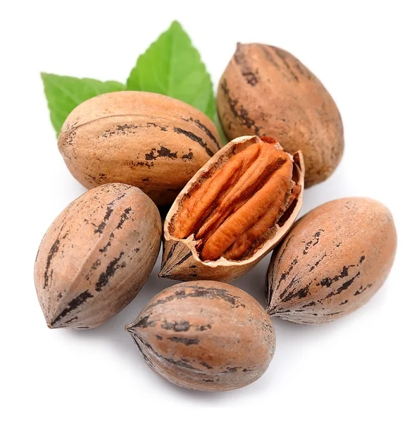 Pecan nötter närbild — Stockfoto