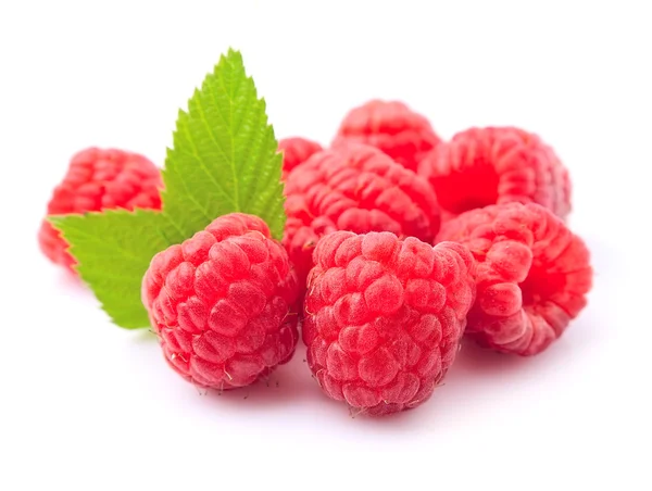 Zoete raspberry close-up — Stockfoto