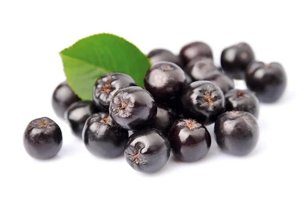 Zwarte chokeberry met bladeren — Stockfoto