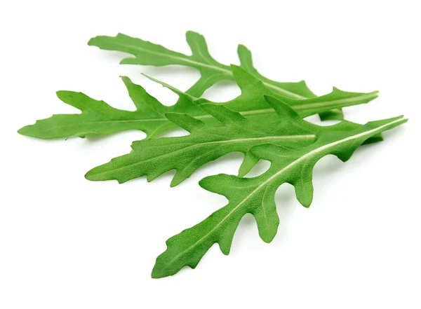 Arugula foglie primo piano — Foto Stock