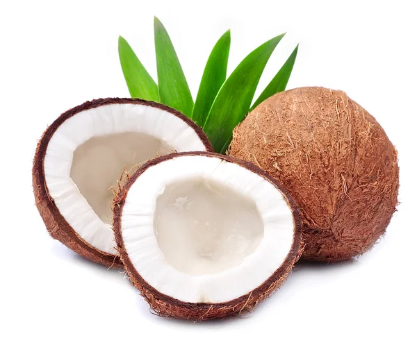 Cocos con hojas —  Fotos de Stock
