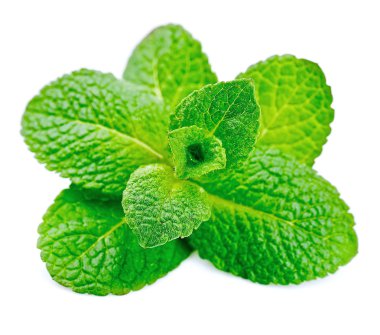 Taze min yakın çekim