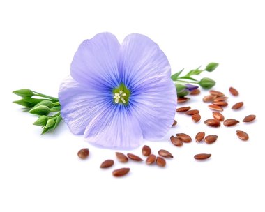 çiçekler ile keten tohumu 