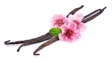 Pembe çiçekli vanilya çubukları 