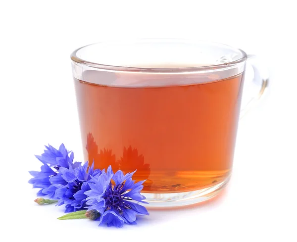 Кукурудзяний чай і цвіт — стокове фото