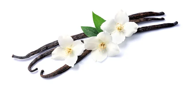 Palos de vainilla con flores blancas — Foto de Stock