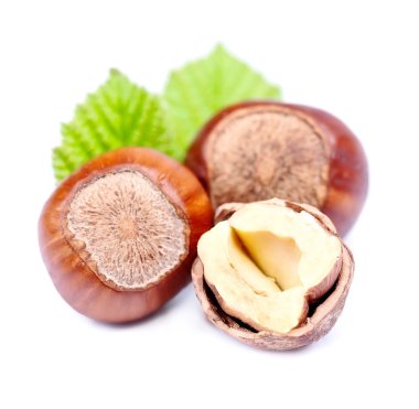 Fındık fındık yaprak beyaz arka plan üzerinde 