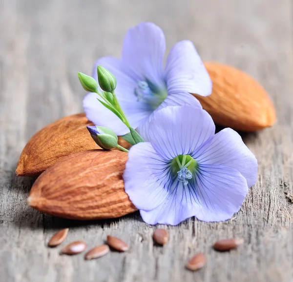 Leinsamenblüten und Mandeln — Stockfoto