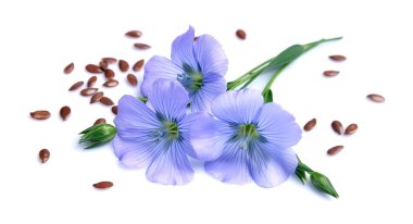 çiçekler ile keten tohumu 