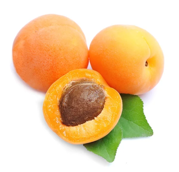 Apricots fruits isolated — Stock Photo, Image