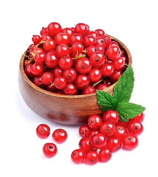 A bowl of fresh berries currants — Stock Photo, Image