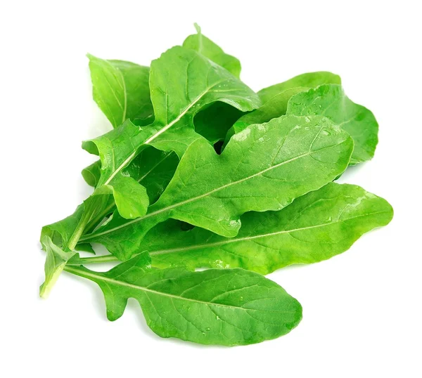 Folhas de Arugula isoladas — Fotografia de Stock