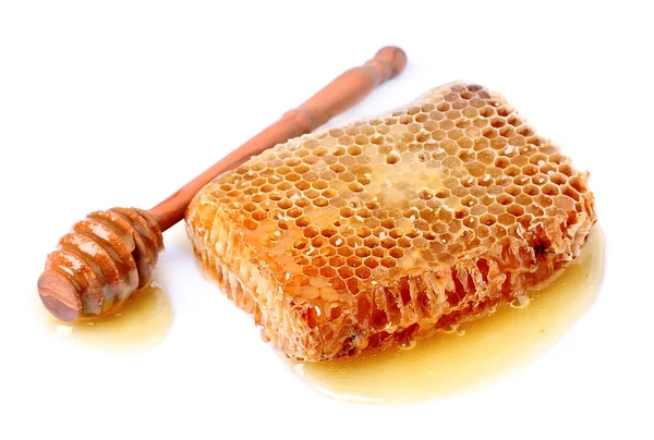 Honung skopa med honeycomb — Stockfoto