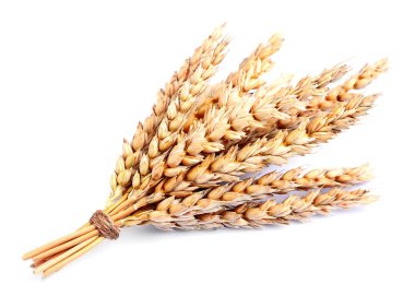  Beyaz Kapanışta kadar izole