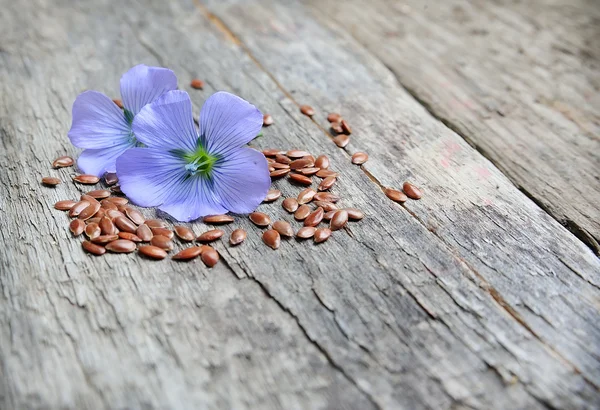 Çiçekler ile keten tohumu — Stok fotoğraf