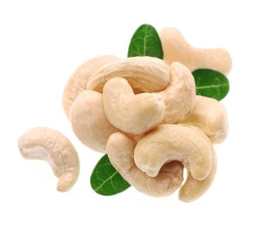 Beyaz arka planda yapraklı kaju fıstığı..