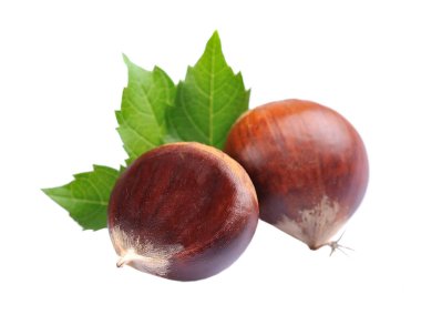 Beyaz arka planda yaprakları olan at kestaneleri.