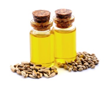 Esaslı kenevir ve devedikeni yağları beyaz arka planda. Kenevir yağı kenevir ve devedikeni sütü yağı.