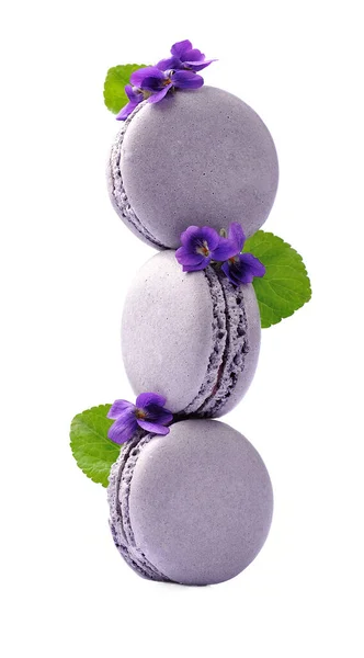 Franch Macaroons Cake Violet Flower White Backgrounds — Stock Photo, Image