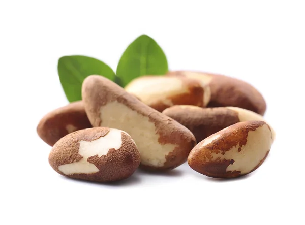 Brazil Nuts Leaves White Backgrounds — Stock Photo, Image