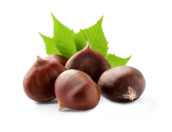 Chestnuts Leafs White Backgrounds — Stock Photo, Image