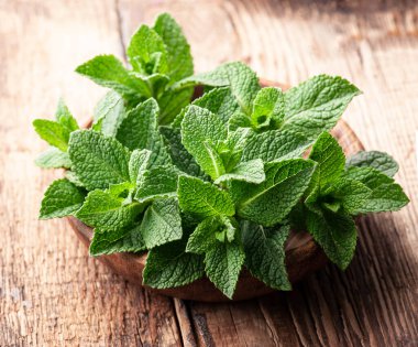 Ahşap arka planda naneli bitki..