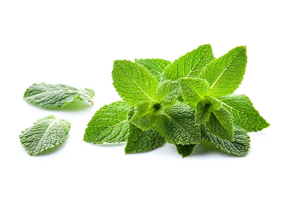 Feuilles Poivre Menthe Fraîche Sur Fond Blanc — Photo