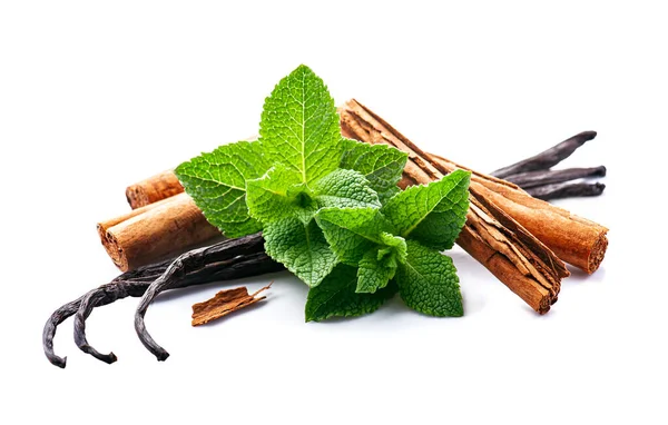 Aromatic Spices White Backgrounds Vanilla Steaks Mint Cinnamon Closeup — Stock Photo, Image