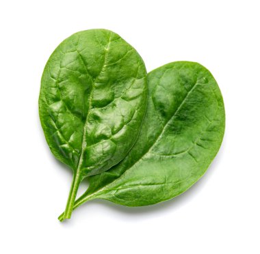 Beyaz arka planda ıspanak yaprakları yakın plan.