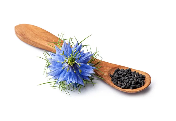 Czarne Nasiona Kminku Drewnianej Łyżce Niebieski Kwiat Satiwy Białym Tle — Zdjęcie stockowe