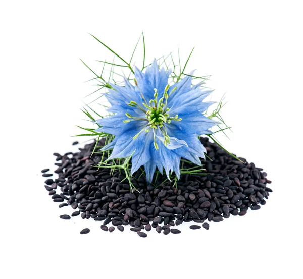 Beyaz Arka Planda Nigella Sativa Çiçekli Siyah Kimyon Tohumları — Stok fotoğraf
