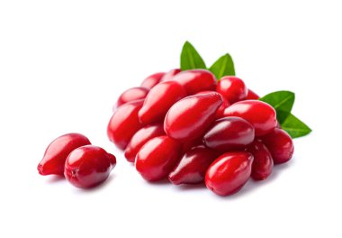 Beyaz arka planda yaprakları olan tatlı köpek böğürtleni..