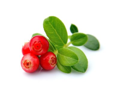 Kızılcık yaprakları ile