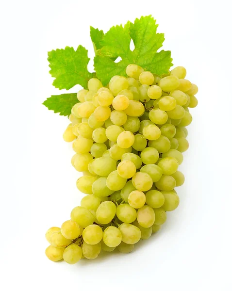 Uvas blancas con hojas — Foto de Stock