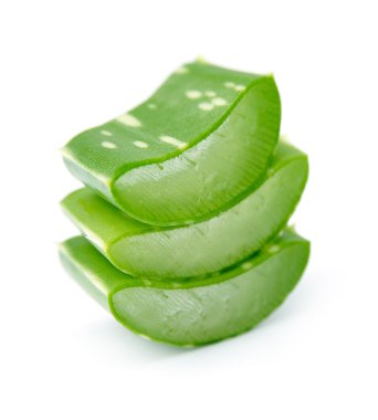 aloe vera portre 