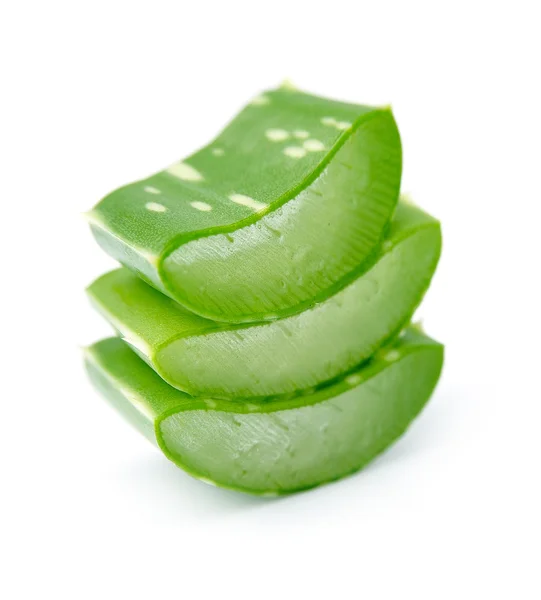 Aloe vera närbild — Stockfoto