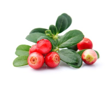 Kızılcık yaprakları ile 