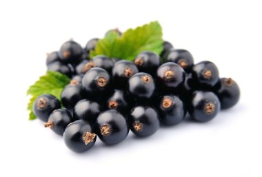 yaprakları ile Siyah frenk üzümü tatlı yakın çekim üzerine beyaz. 