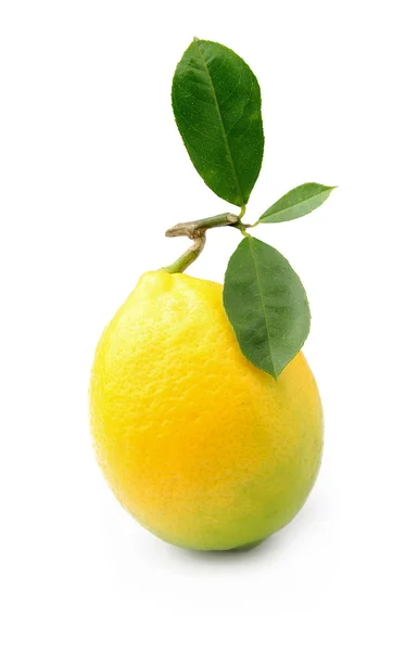 Lemon — Stock Photo, Image