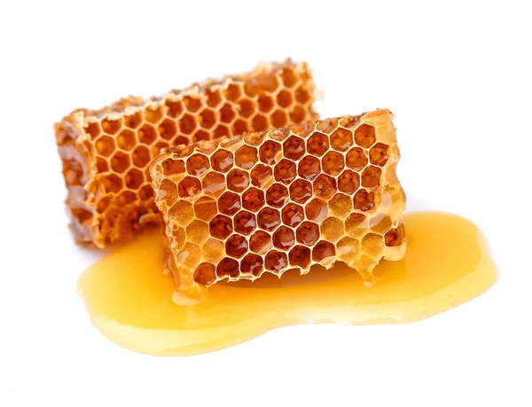 Bienenwaben — Stockfoto