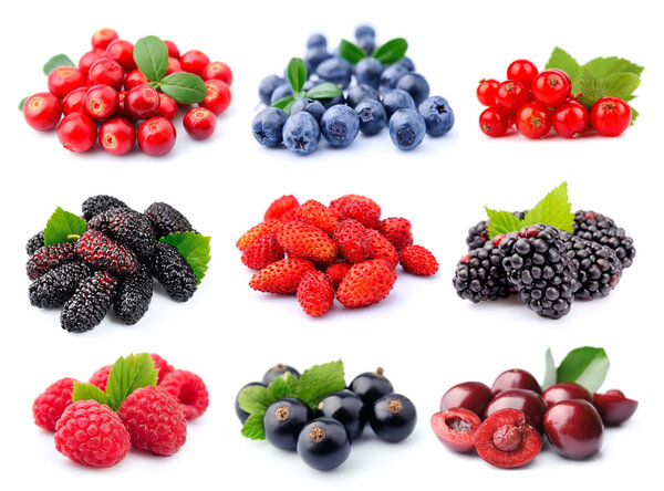 Collection of berry