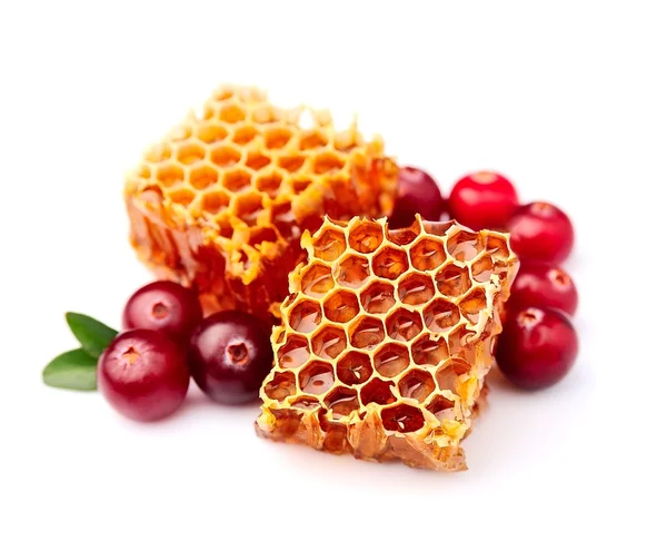 Honeycomb with cranberries — Stock Photo, Image