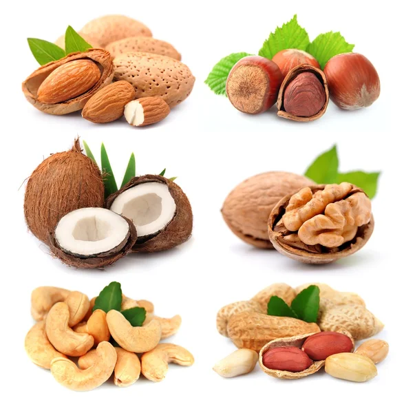 Collection of nuts — Stock Photo, Image