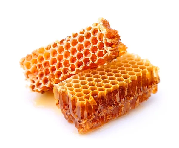 Bienenwaben — Stockfoto