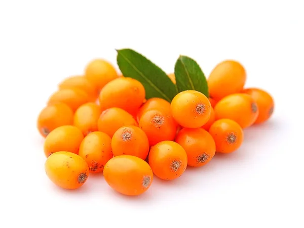 Sea buckthorn berries — Stock Photo, Image