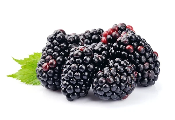 BlackBerry vruchten — Stockfoto