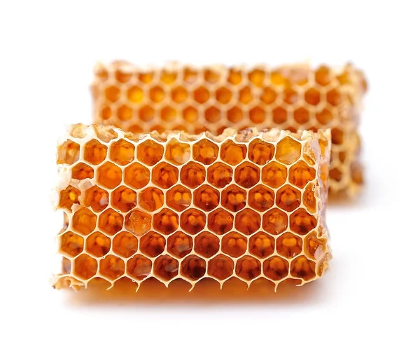 Honeycomb close up — стоковое фото