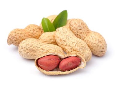 Fıstık 